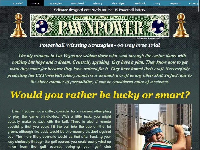 Pawn Power website screenshot